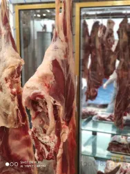 نمونه کار سوپر گوشت مسعود در تبریز - 5