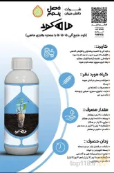 نمونه کار فصل پنجم  در شیراز - 5
