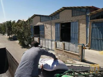 نمونه کار بذر نمونه سیاه دشت در شیروان - 5