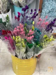 نمونه کار گل هروی در ملایر - 5