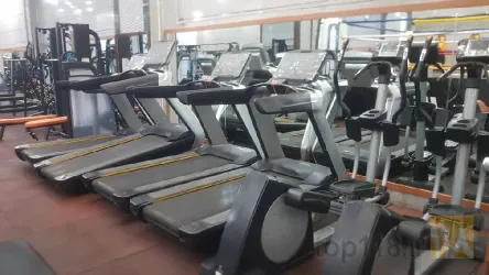 نمونه کار باشگاه بدنسازی بوفالو در تبریز - 5