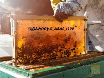 نمونه کار فروش عسل طبیعی در تبریز (بانوی عسل) در تبریز - 5