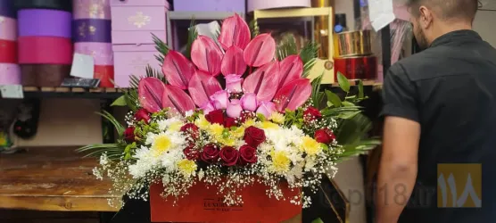 نمونه کار گلسرای لاله در مرند vip در مرند - 5