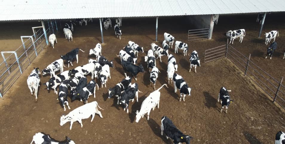  بذر و نهال : صادرات و واردات در قائنات