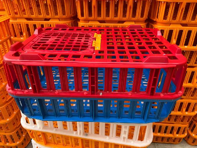 پاکت و جعبه  - تولید و یا پخش در یزد