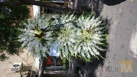 نمونه کار گل فروشی پرستیژ در تبریز - 6