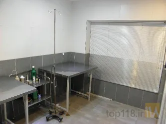 نمونه کار  حیوانات خانگی  در تبریز - 6