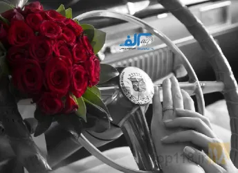 نمونه کار عکس و فیلم در تبریز - 6