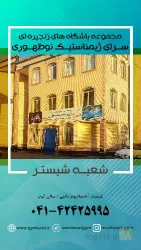 نمونه کار سرای ژیمناستیک نوظهوری در تبریز - 6