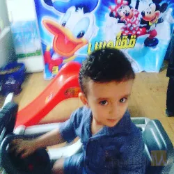 نمونه کار پیرایش ققنوس  در تبریز - 6