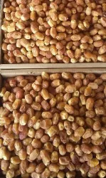 نمونه کار خرمای تک نفره مروارید سیاه حامد در تبریز - 6