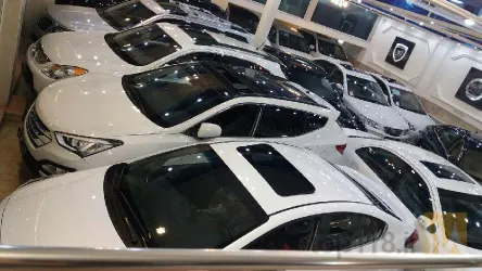 نمونه کار اتو افشار  در تبریز - 6