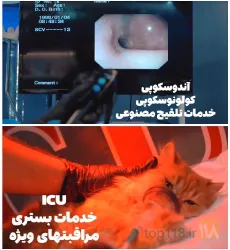 نمونه کار کلینیک حیوانات خانگی دکتر سینا یعقوبی  در تبریز - 6