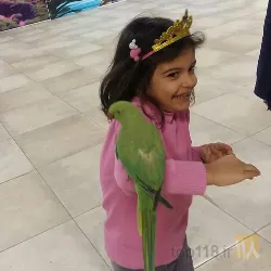 نمونه کار سرزمین حیوانات ( زوفان ) zoo fun در تبریز - 6