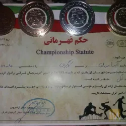 نمونه کار آموزش اسکیت سلمانی پور در تبریز - 6