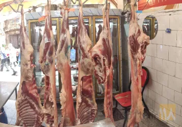 نمونه کار سوپر گوشت مسعود در تبریز - 6