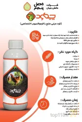 نمونه کار فصل پنجم  در شیراز - 6