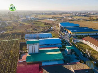 نمونه کار شرکت مارشن طلایی مازندران در محمودآباد - 5