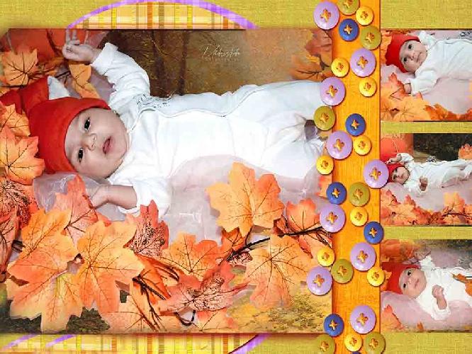 عکاسی و فیلم برداری در تبریز