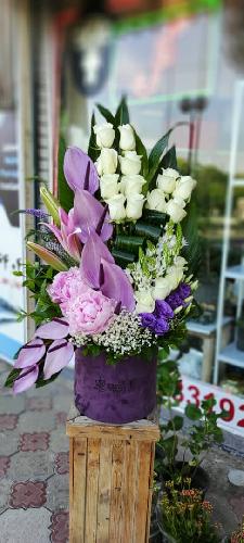 گل نفیس flower nafis در تبریز گلفروشی در تبریز