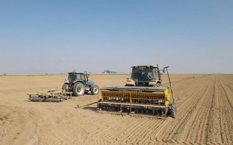  بذر و نهال : صادرات و واردات در قائنات