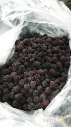 نمونه کار خزر میوه ارم در ساری - 7