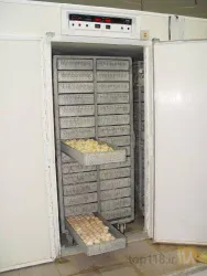 نمونه کار شرکت مرغ مادر دربار در بروجرد - 7