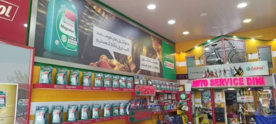 نمونه کار اتو سرویس دینی در تبریز - 7