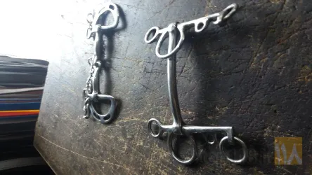 نمونه کار سراجی قاسم پور در تبریز - 7
