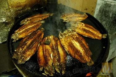 نمونه کار رستوران دریایی ساج بالیغی در تبریز - 4