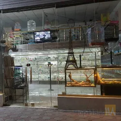 نمونه کار کلبه پرندگان پر طلا  در تبریز - 7