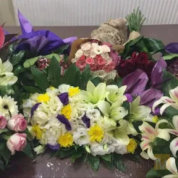 نمونه کار تشریفات میلاد نو  در تبریز - 7