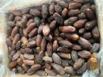 نمونه کار خرمای تک نفره مروارید سیاه حامد در تبریز - 7