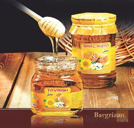 نمونه کار مربای برگ ریزان  در تبریز - 7