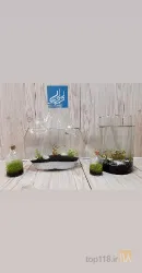 نمونه کار گلفروشی لیلیا  در تبریز - 7
