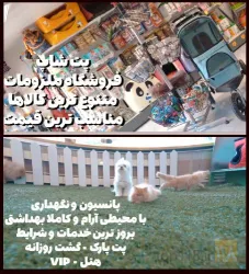 نمونه کار کلینیک حیوانات خانگی دکتر سینا یعقوبی  در تبریز - 7