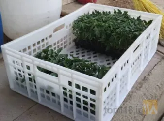 نمونه کار اپکو پلاستیک در شیراز - 7