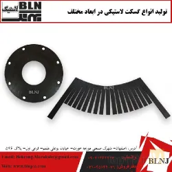 نمونه کار بهرنگ لاستیک نقش جهان در اصفهان - 6