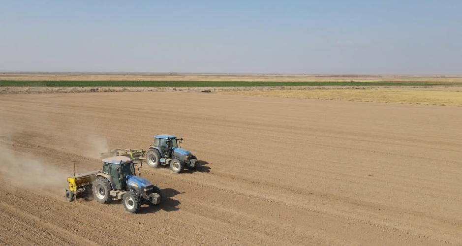  بذر و نهال : صادرات و واردات در قائنات