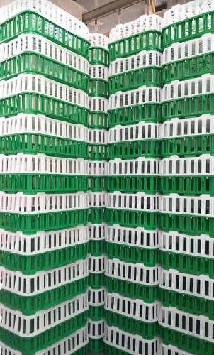 پاکت و جعبه  - تولید و یا پخش در یزد