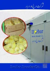 نمونه کار شرکت مرغ مادر دربار در بروجرد - 8