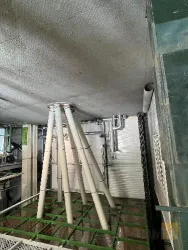 نمونه کار  دانه چین شمال در آمل - 8