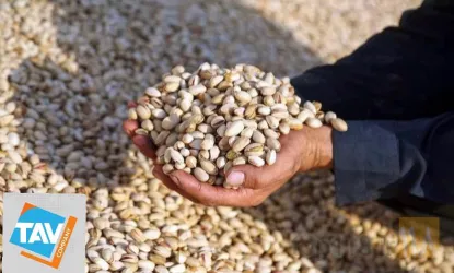 نمونه کار ترخیص کالا از تمامی گمرکات ایران در تبریز - 8
