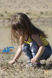 نمونه کار عکس و فیلم در تبریز - 8