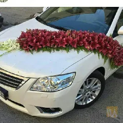 نمونه کار خزر گل  در تبریز - 8