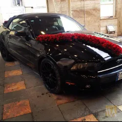نمونه کار کرایه اتومبیل بدون راننده غزال گشت در تبریز - 8