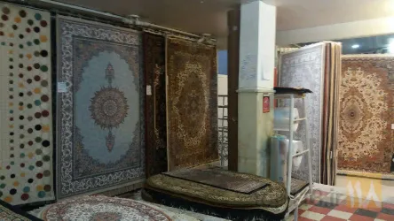 نمونه کار فرش و موکت دانایی و پسران  در تبریز - 8