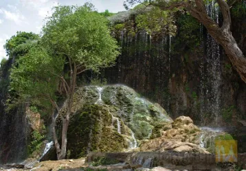 نمونه کار عکاسی تهرانچی  در تبریز - 8