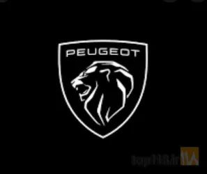 نمونه کار فروشگاه غرب یدک در تبریز - 8