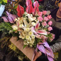 نمونه کار گل پارمیدا  در تبریز - 8